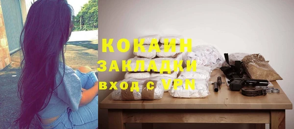 молекула духа Богородск