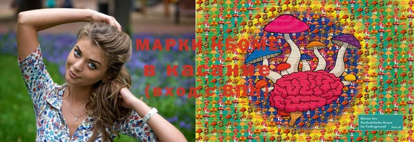 mix Богородицк