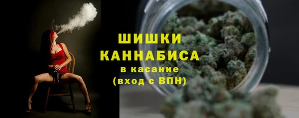 mix Богородицк