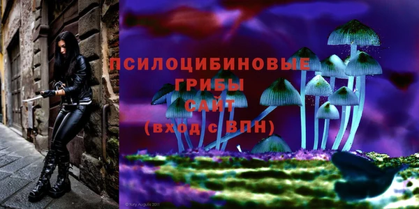 mix Богородицк
