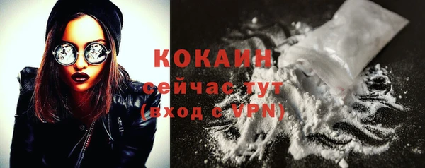mix Богородицк