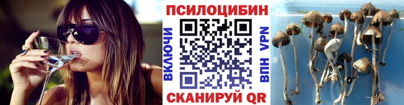 Галлюциногенные грибы GOLDEN TEACHER  дарнет шоп  мега онион  Санкт-Петербург 